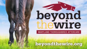 Beyond the Wire logo and website